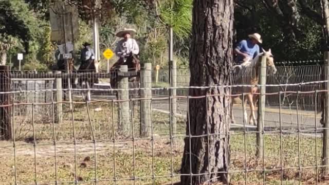 Horse Parade in my Neigh-bo!!!