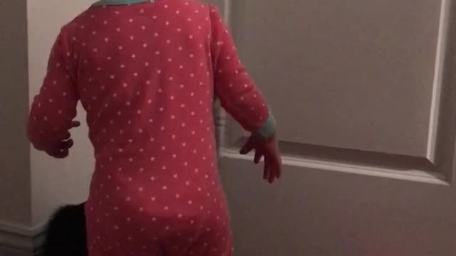 Cat Helps Baby Girl Open Door After She Repeatedly Fails