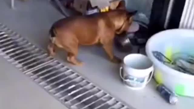Wait for the end😂😂