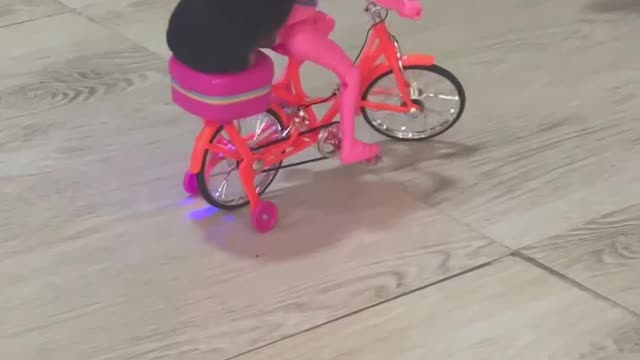 perro en bicicleta con una muñeca