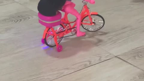 perro en bicicleta con una muñeca