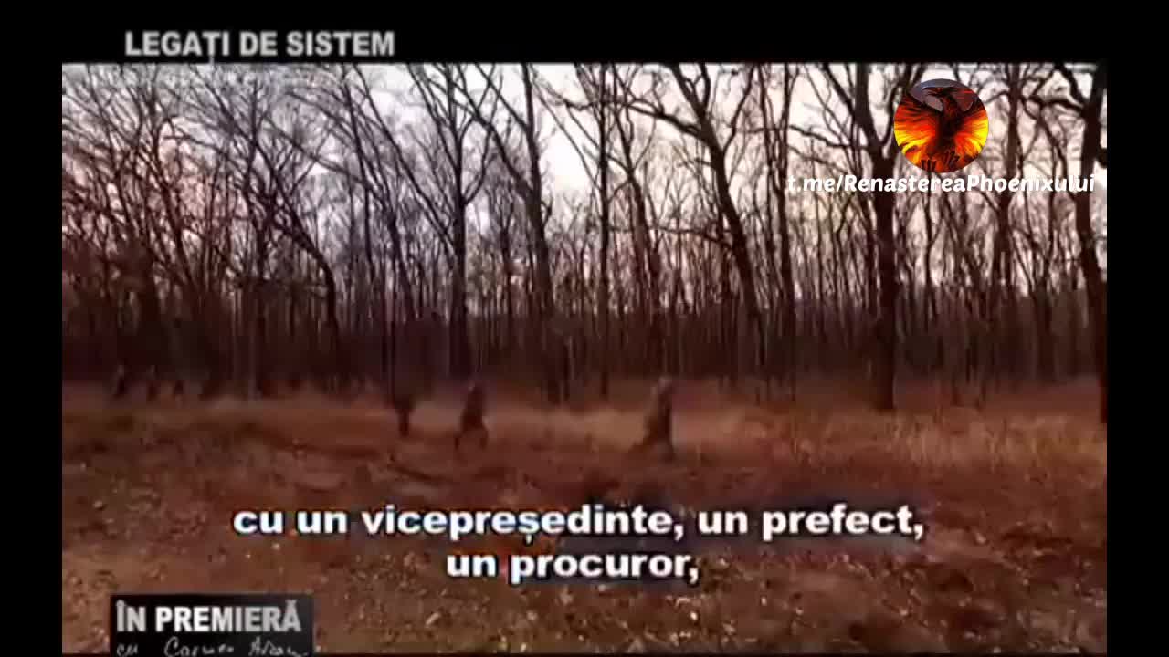 Despre traficul de persoane și românii ca victime