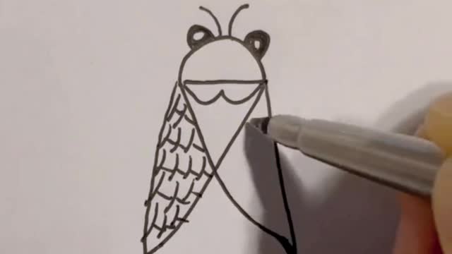 Draw a cicada by hand. Move your little hand and learn from me.
