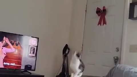 Mistakes were made. And yes, she is perfectly fine.