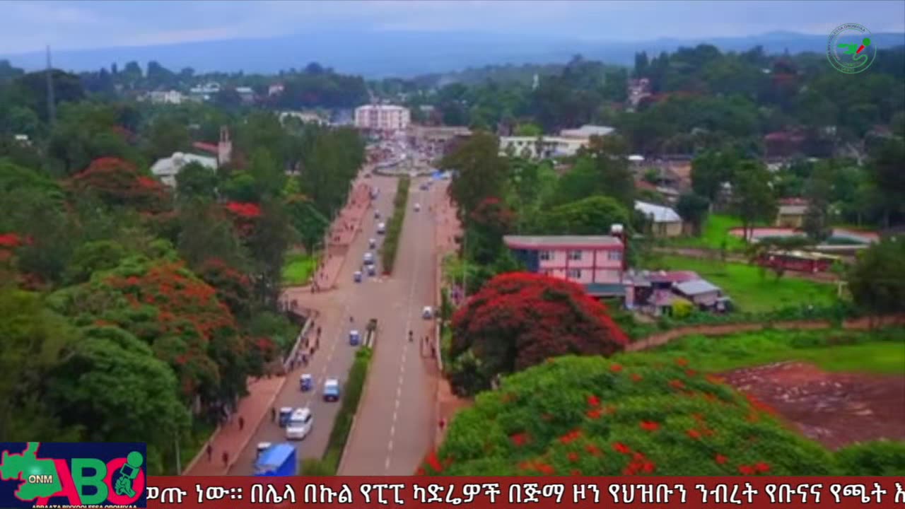 መስከረም 6፣ 2024 ONM-ABO እለታዊ የኦሮሞ ነፃነት ሰራዊትና የኦሮሚያ ውሎ!