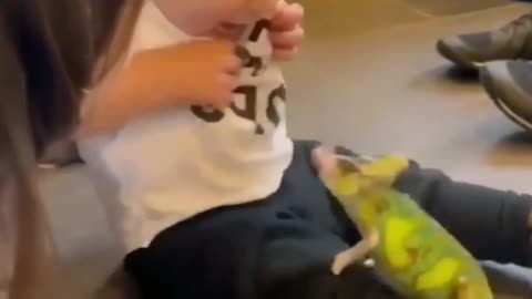 Try Not To Laugh (Part:1)