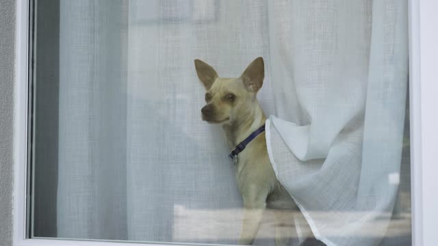 Butler, when are you coming? You didn't abandon me, did you?