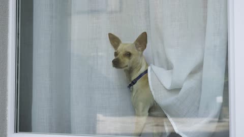 Butler, when are you coming? You didn't abandon me, did you?