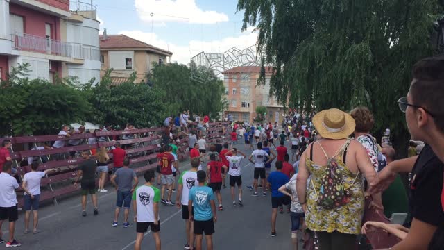 Oblivious Guy Caught by Two Bulls