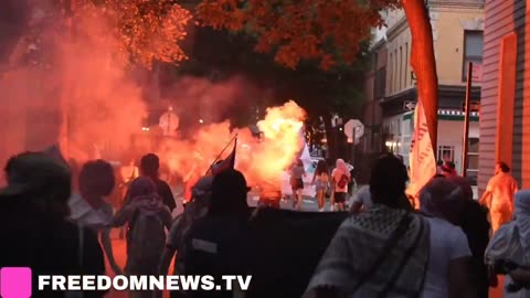 ant Pro-palestine protesters during "Flood Manhattan on July 4th"