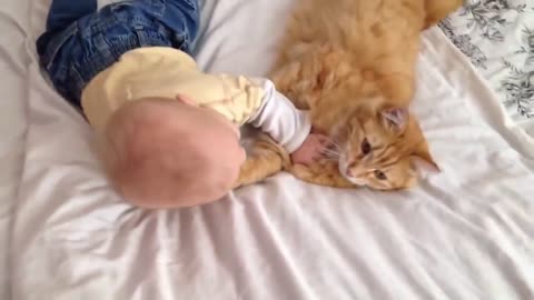 Cats Protecting Babies Videos Compilation 🐈 Cat Loves