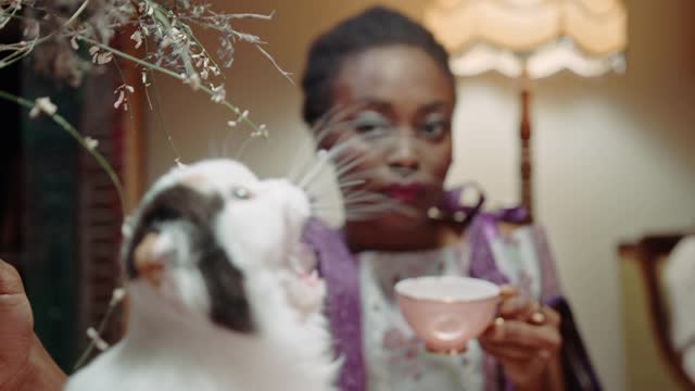 Press Play and be amazed by this amazing cat
