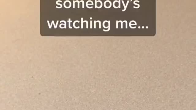 I always feel like my dogs are watching me