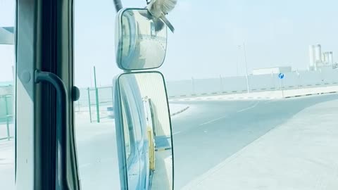 Bird trying to go mirror world