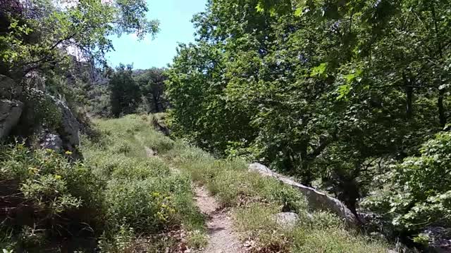 ΣΤΟ ΦΑΡΑΓΓΙ ΤΗΣ ΑΓΑΛΗΣ/AT THE GORGE OF AGALI - ΕΥΒΟΙΑ/EVIA ISLAND