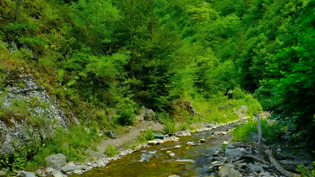 Nature Sounds - Calming Water Sound - Meditation