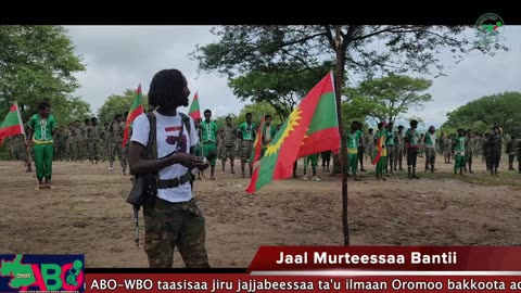 Oduu Waaree ONM-ABO Adoolessa 31, 2023