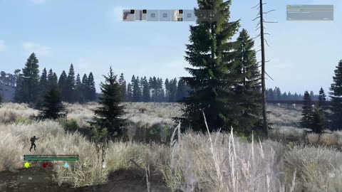 dayz