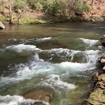 WHAT IS SHE THINKING ABOUT?