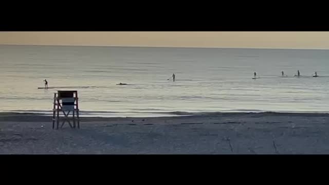 Paddle Board Morning