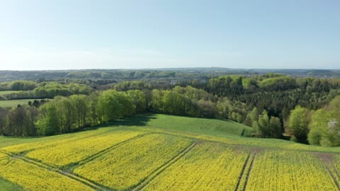 Aerial view of the countryside