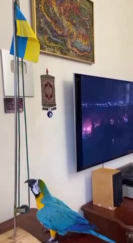 Tin Cập nhật Chiến tranh Ukraine @Flash_Update_Ukraine_War