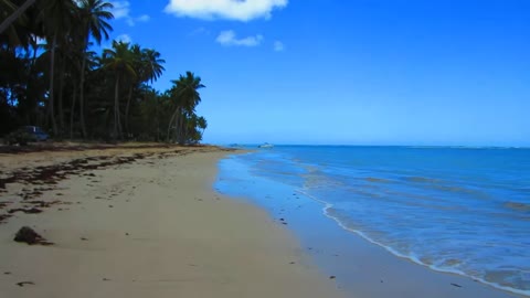 another short Clip from Las Terrenas, Samana