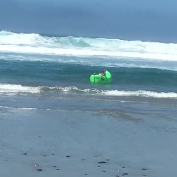 Shred it guy in green inflatable hammock black hat ocean beach