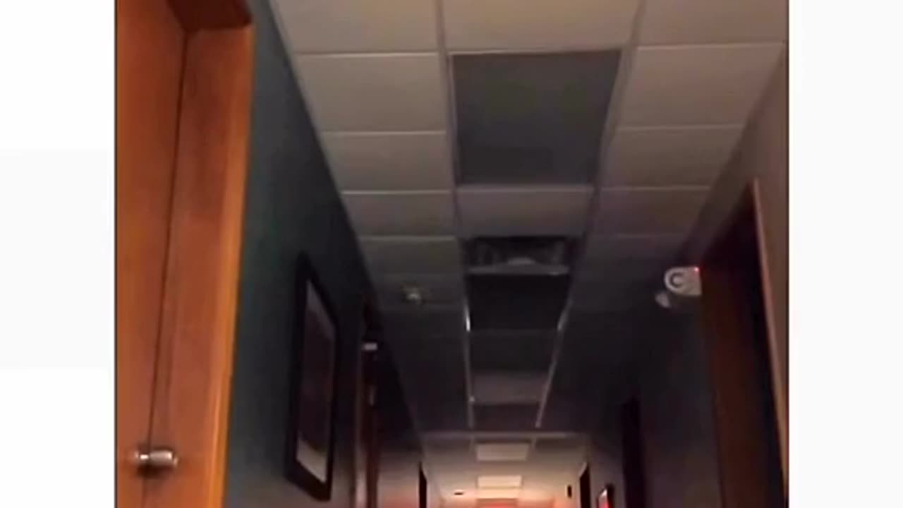 Funy scary