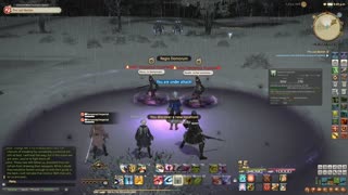 FFXIV Endwalker MSQ 25-The Last Bastion