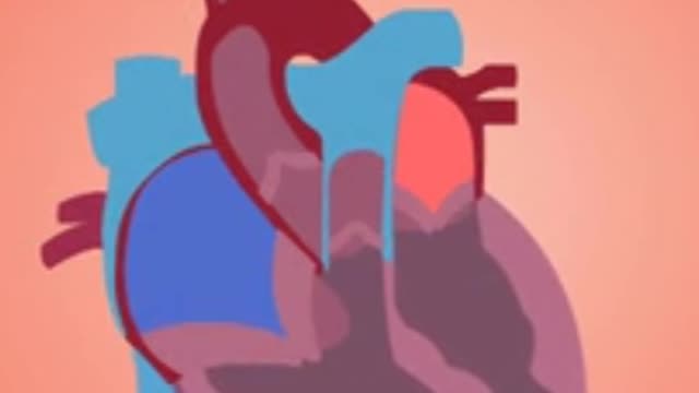 किस दिन लोगो को सबसे ज्यादा हार्टअटैक आता है।