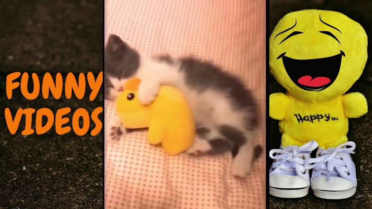 💖CUTE AND FUNNY ANIMALS COMPILATIONS 2021