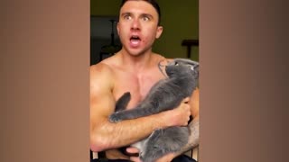 Super Funny Cats And Dogs Reaction 2022