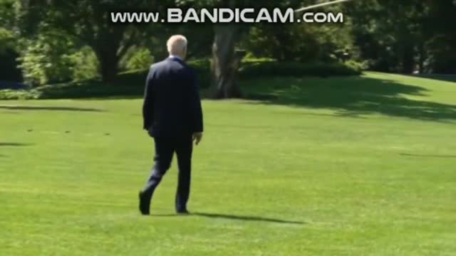 Trumps golfball hit the right spot