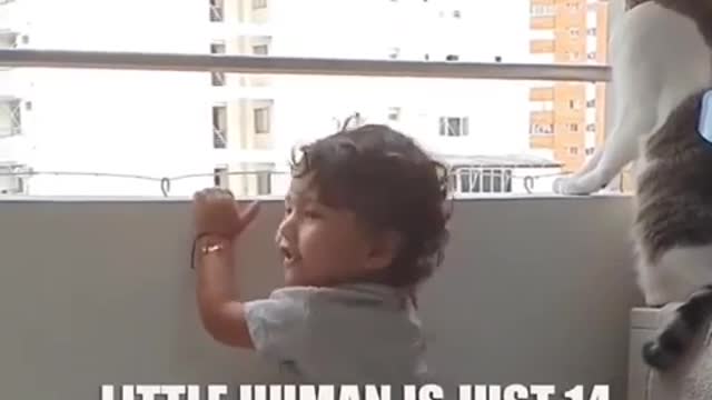 Cat Protects Little Human