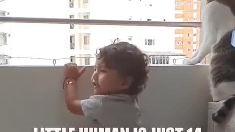 Cat Protects Little Human