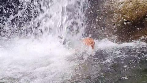 Waterfall Submerges Unsuspecting Swimmer