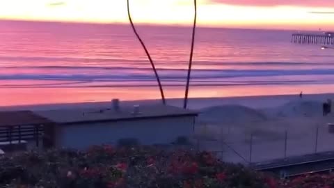 Palms, sea and beach