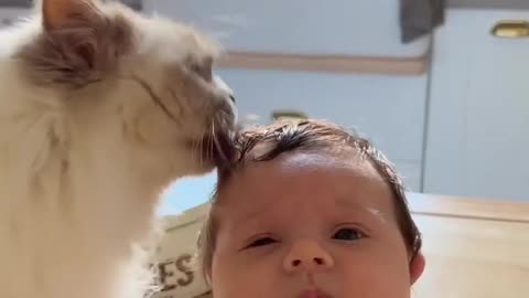 Cat & Baby 🐈👶