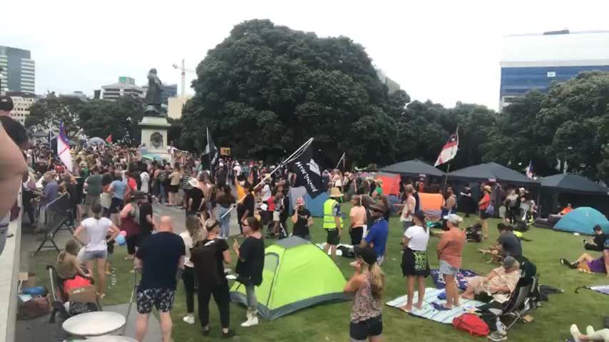 NZ Convoy 9 Feb 2020 Part 3