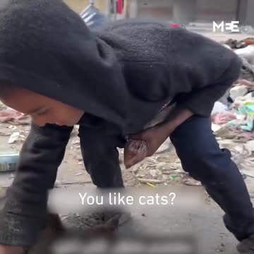 Kids in Gaza are feeding starving cats even when they don't have food for themselves. Wow...