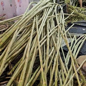 Amazing! Sweet Orange Sugarcane Juice Making Process
