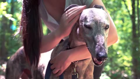 Watch How This Cute Puppy Loves Getting Caressed And Sticking Out His Tongue!