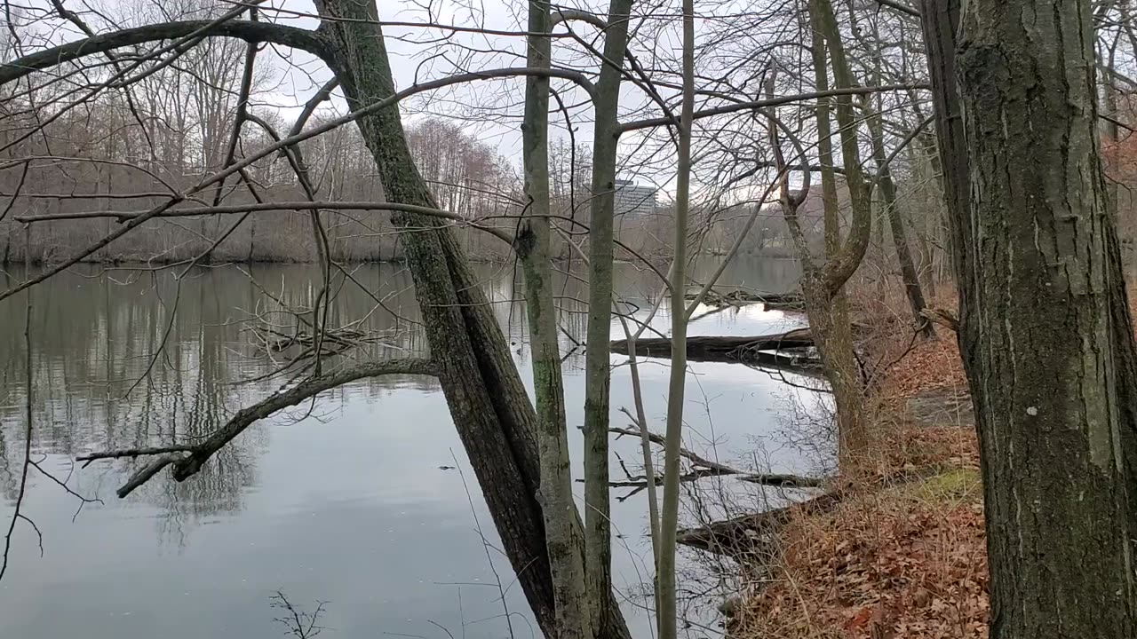 Huron River in Southeast Michigan