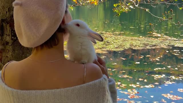 cute animals
