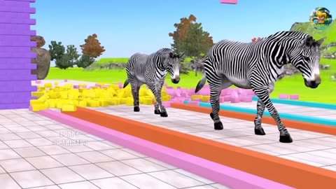 good cartoon video best video for animals cartoon