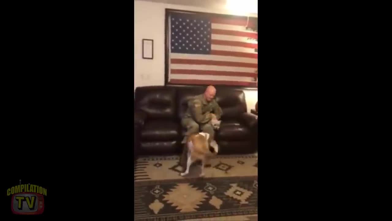 Soldiers Coming Home Surprise Compilation