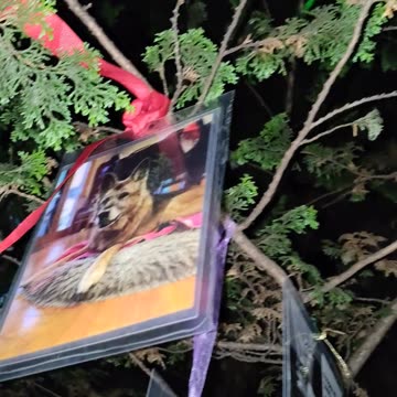 Christmas tree with animals in New York City.