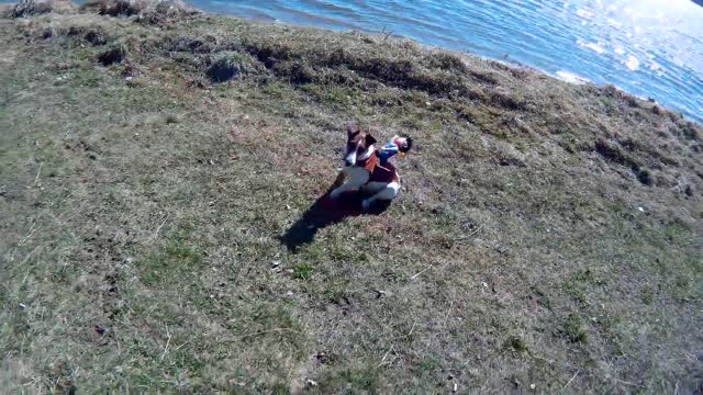 Rodeo with a dog