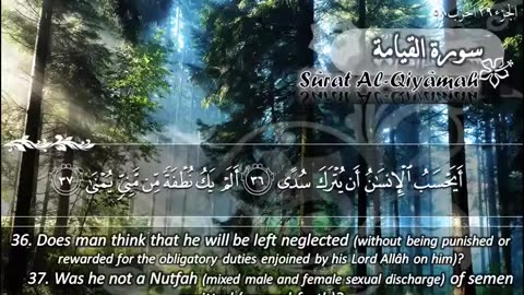 75.SURAH 075 QIYAMMAH RECITATION BY SHEIKH MAHER AL MUAIQ.mp4